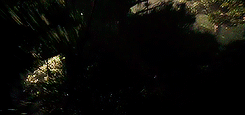 tumblr_o46uspOzam1rpotpgo9_250.gif