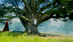 vblVS9K.gif