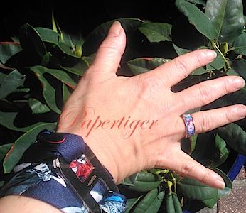 DSC_0174_zpsgepd38j6.jpg