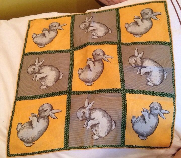 Rabbit%20Duck%20illusion.jpg