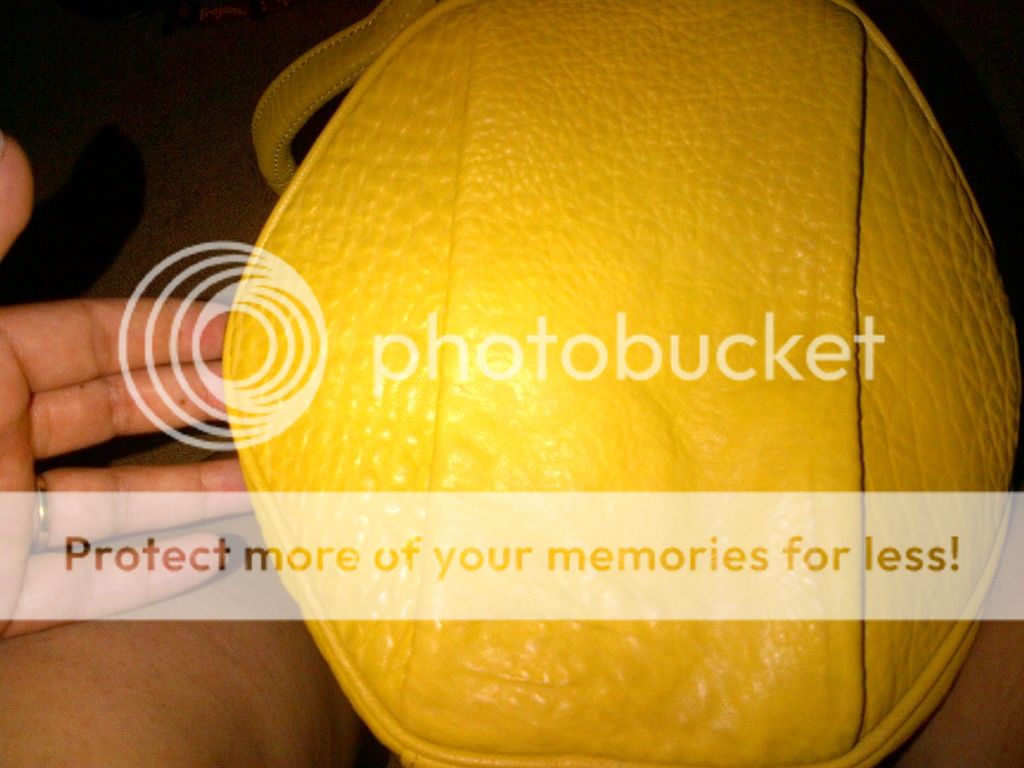 yellowbag2.jpg