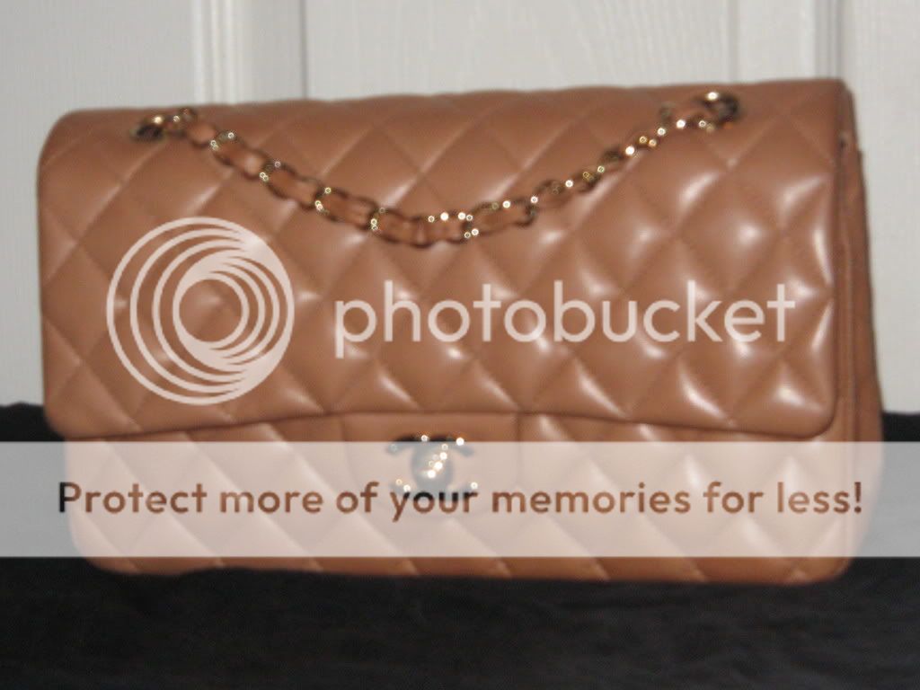 PURSEFORUM310-1.jpg