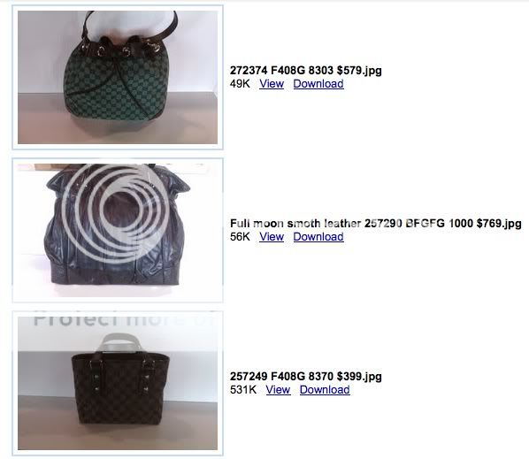 gucci3.jpg