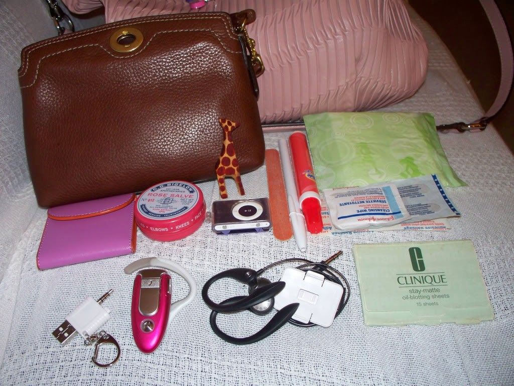 coachbagpics006.jpg