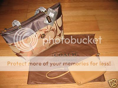 3117_1.jpg