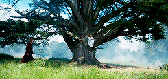 tumblr_o46uspOzam1rpotpgo4_250.gif