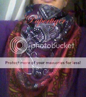 DSC_0251_zpsfvisspnb.jpg
