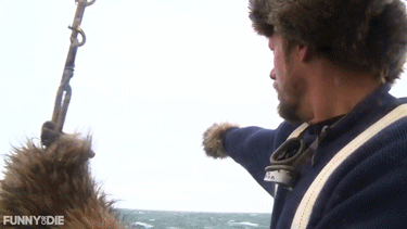 tumblr_ny13kudp7o1qk4jbqo3_400.gif