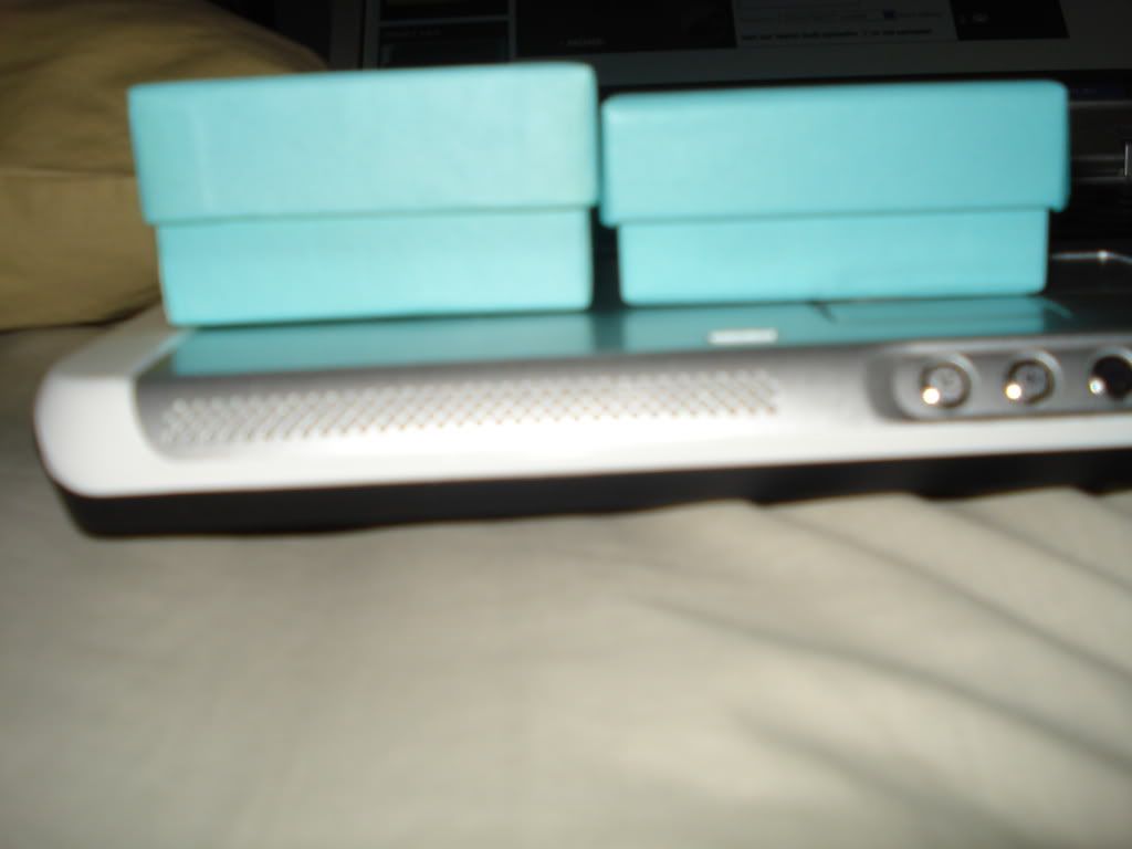 DSC01987.jpg