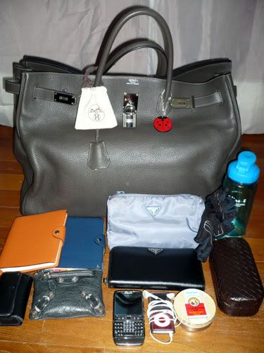 insidebirkin4.jpg
