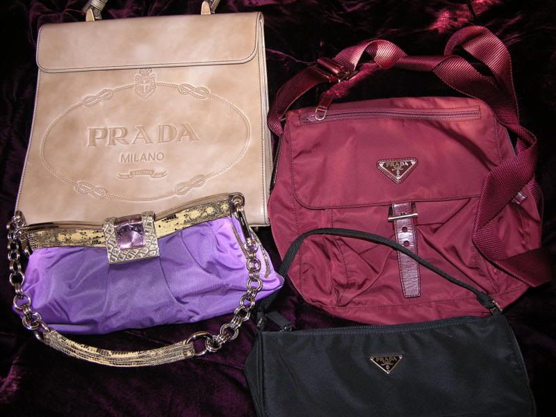 DSCN3561.jpg