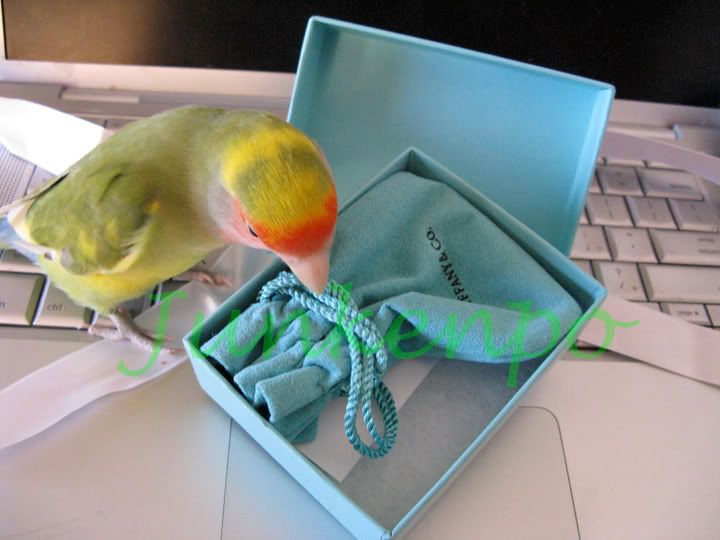 tbox4.jpg
