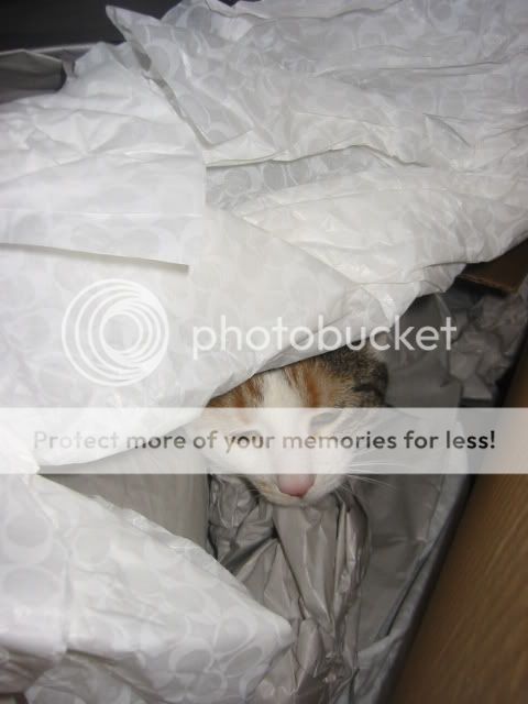 159-5965_IMG.jpg