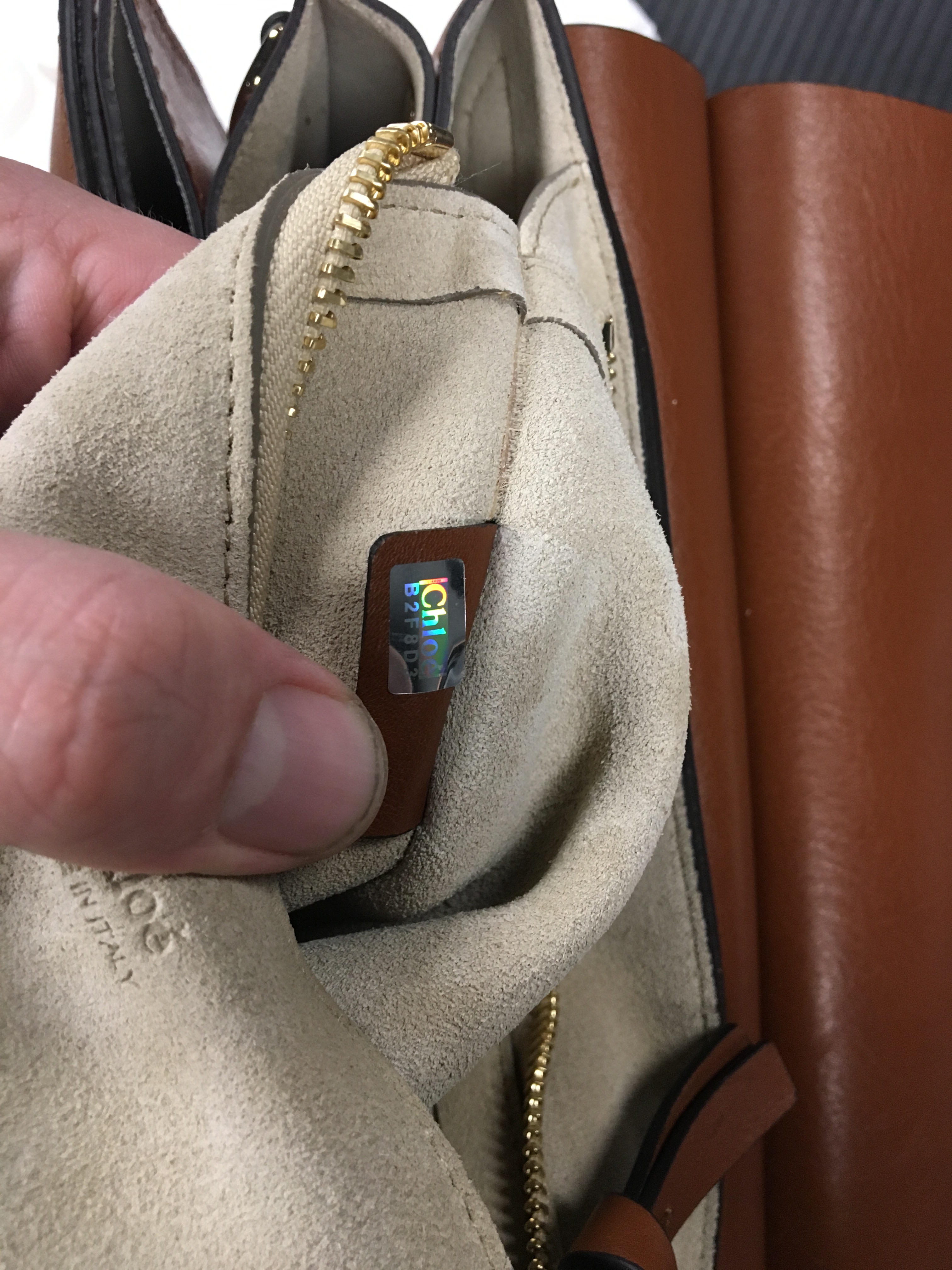 Chloe%201.jpg