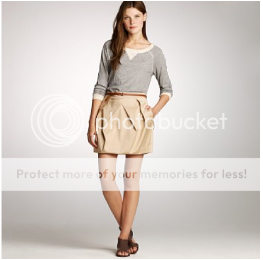 jcrewlunetteminiskirt.png