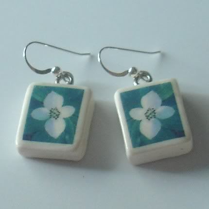 suchprettyclorsdogwoodblossomearrin.jpg