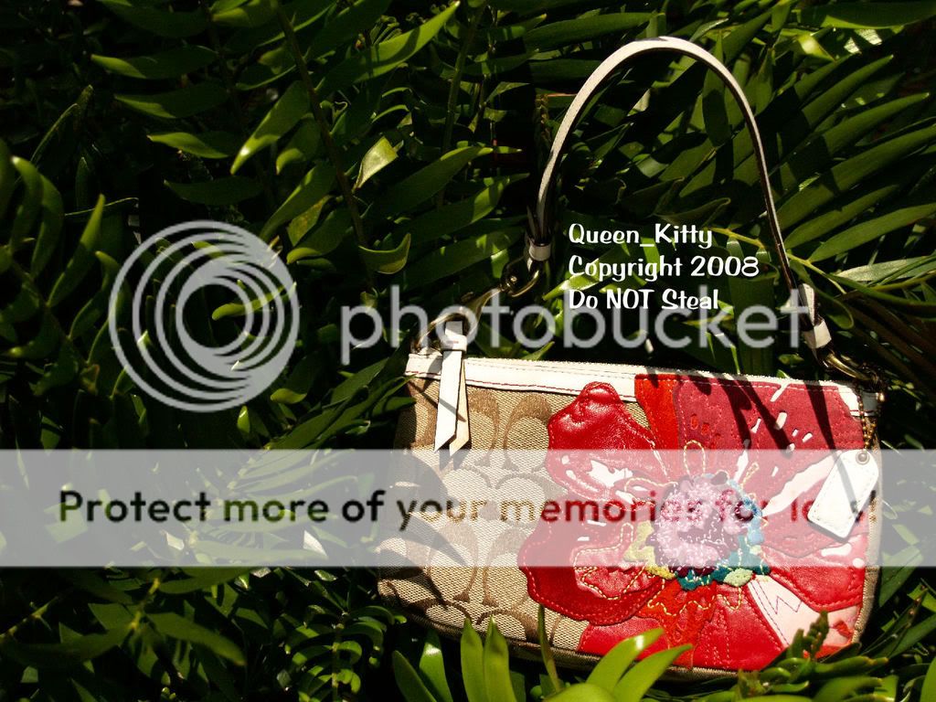 coachpoppydemi1watermarked.jpg