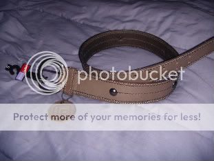 lpbelt22.jpg