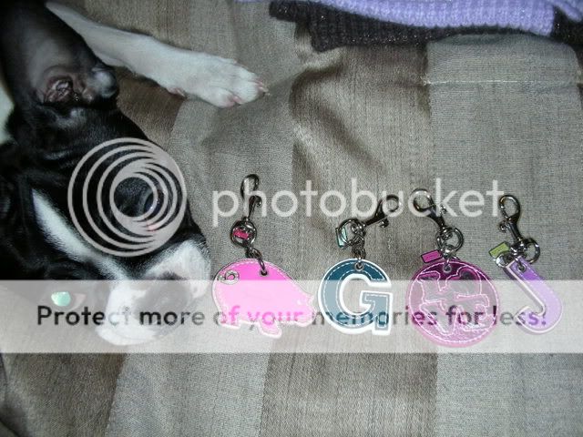 DSCN0777.jpg