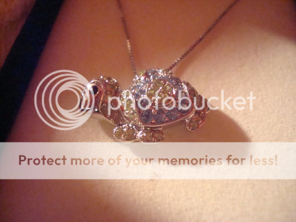DSC00588-Copy.jpg