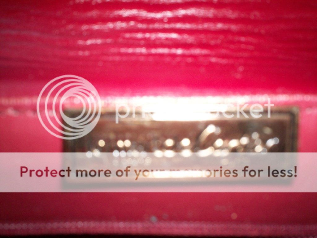 CartierBagWallet008.jpg