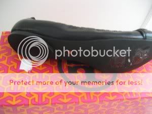 dsp_img_5181.jpg