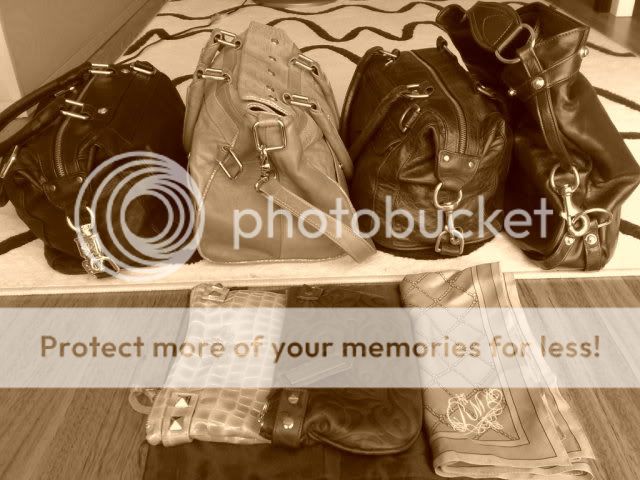11082008533.jpg