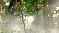 tumblr_o49kj0s88l1ty8mi0o2_250.gif