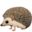 1f994.png