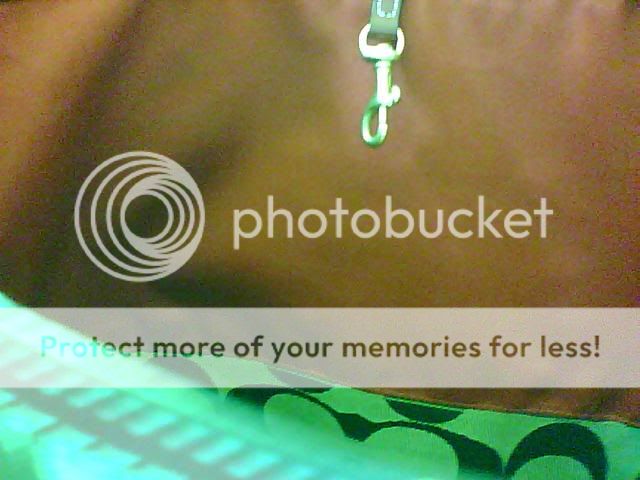 Snapshot_20090719_7.jpg