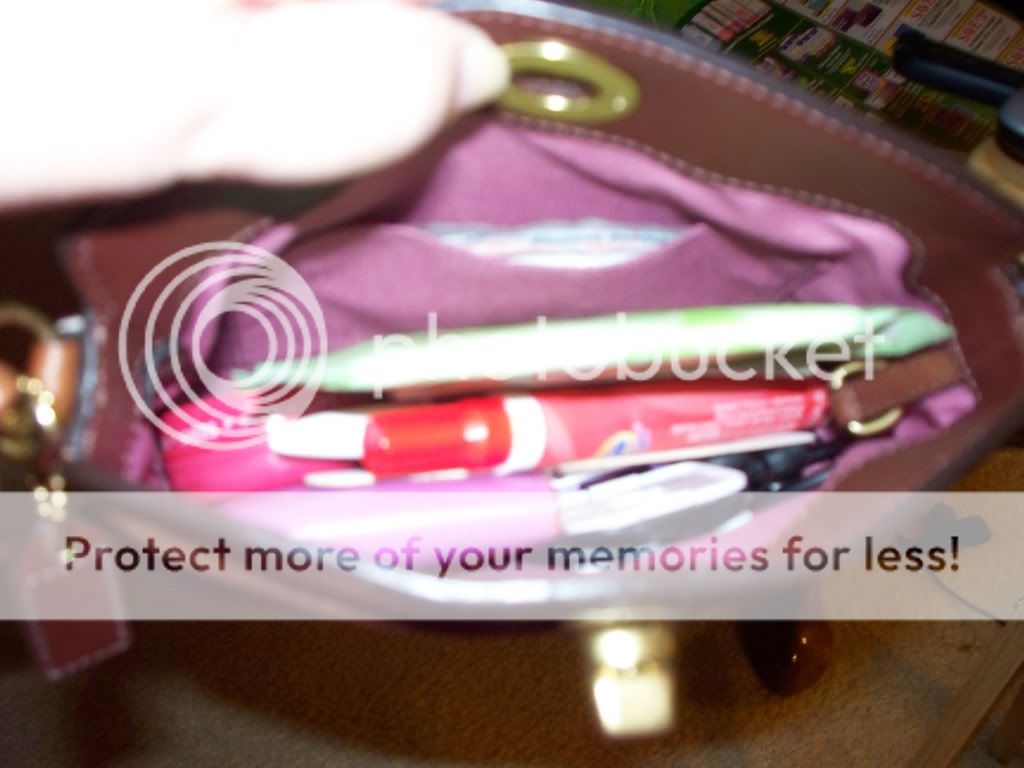 coachbagpics003.jpg