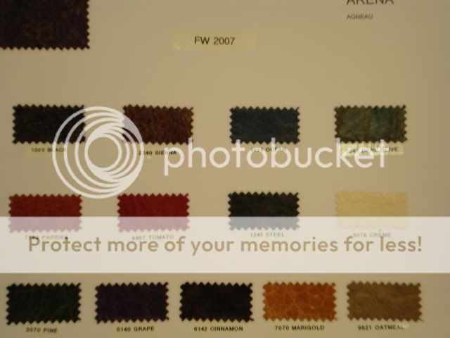 DSC03475.jpg