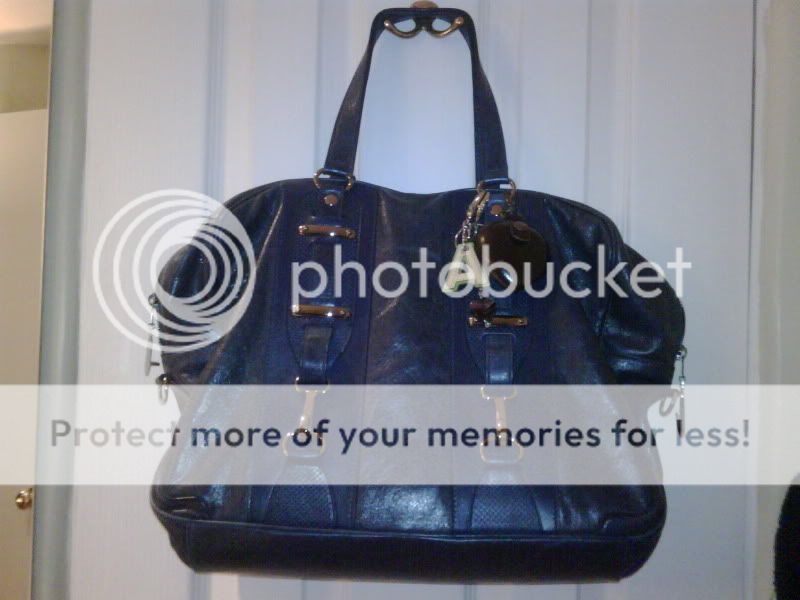 2006BlueberryRoiHookBag1.jpg