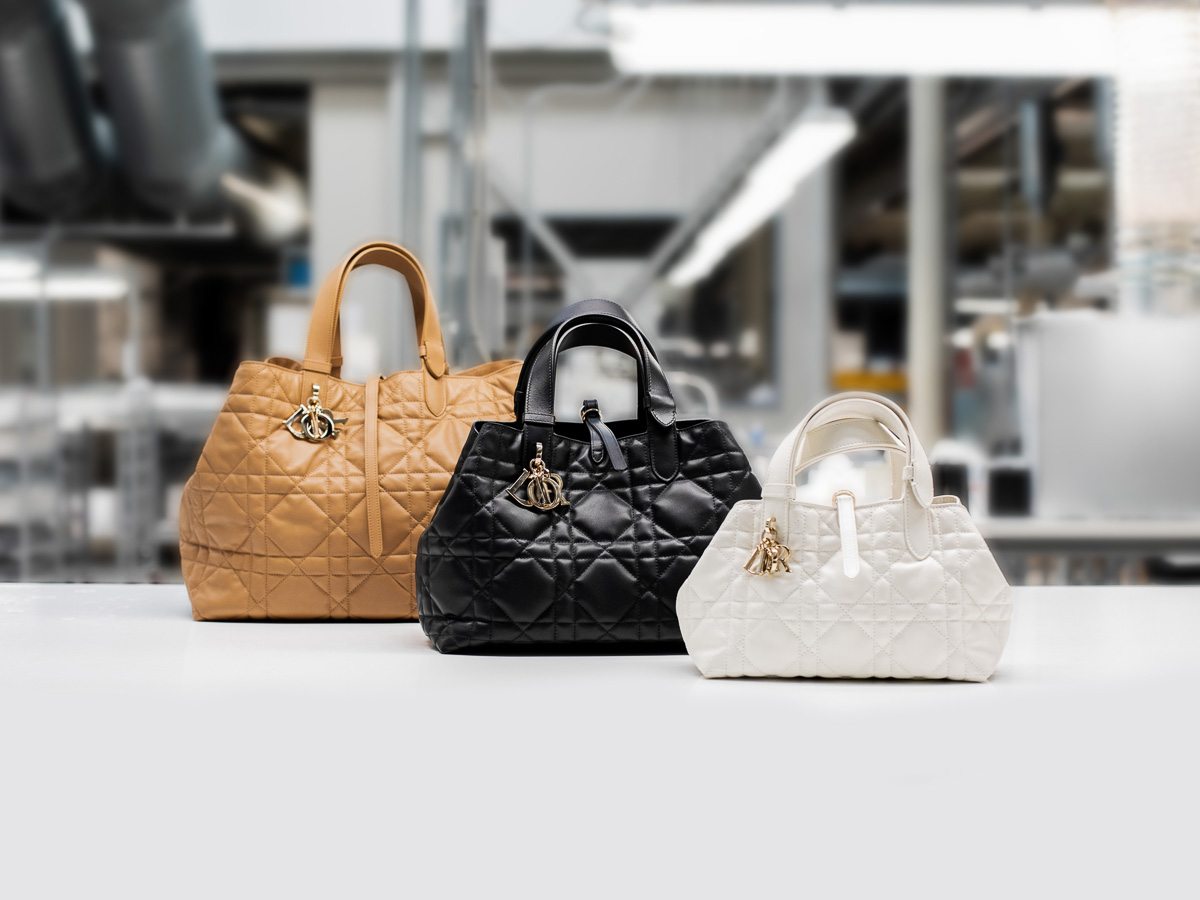Introducing-the-Dior-Roujours-Bag-14.jpg
