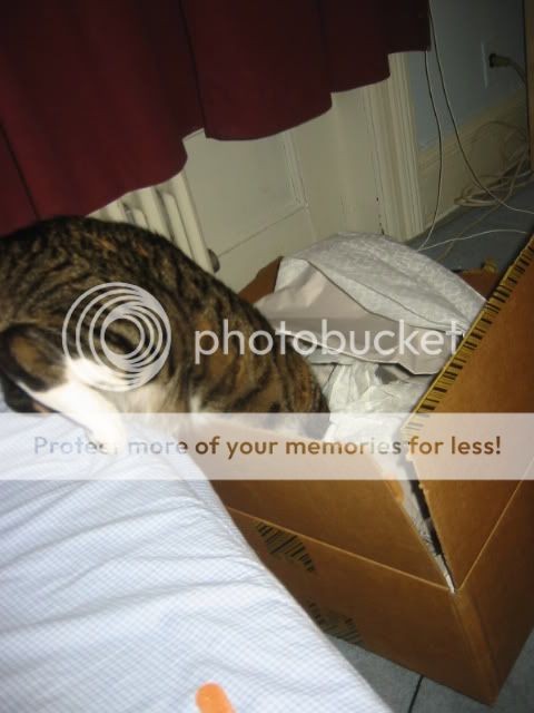 159-5969_IMG.jpg