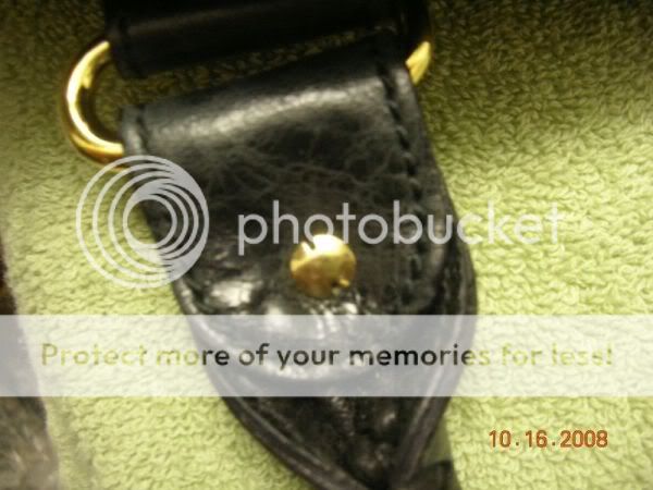 DSCN8646.jpg