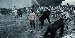 tumblr_o47ij5TRdN1qlgnv9o4_250.gif