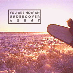 tumblr_mm1untpmpE1qcj6rgo3_r1_250.gif