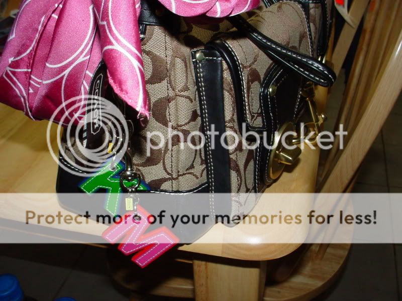 Katpics005.jpg