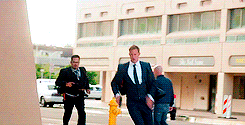 tumblr_o250ld78t21rpotpgo2_250.gif