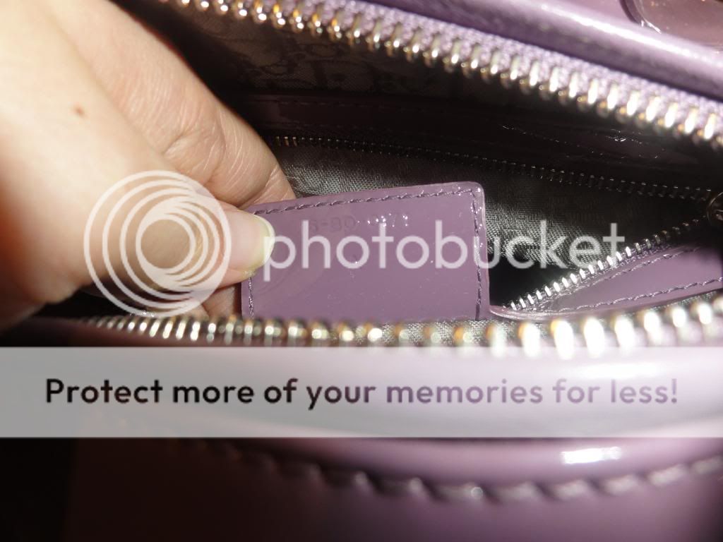 DSC02239_zpsf4eb5b7f.jpg