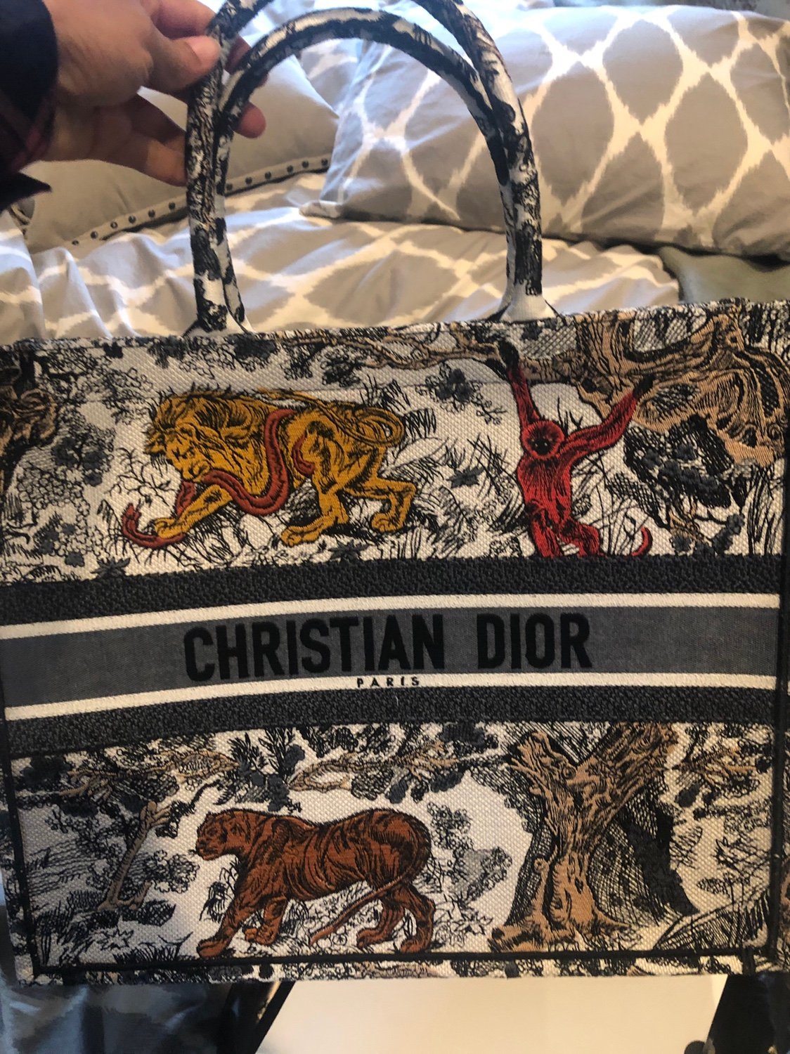 Unveiling My New Dior Oblique Embroidered Canvas Bag - PurseBlog