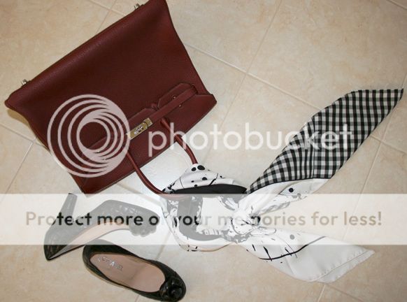 chevalSurprise10_zps0e829c54.jpg