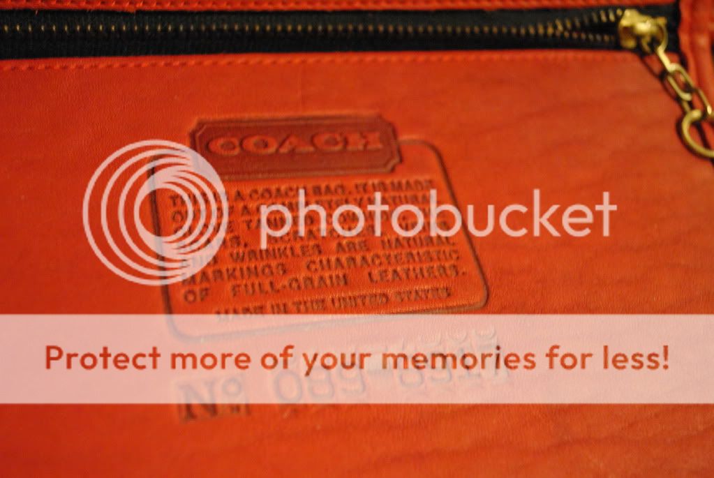 DSC_0992_zps8ce2e18c.jpg