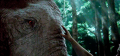 tumblr_o46uspOzam1rpotpgo1_250.gif
