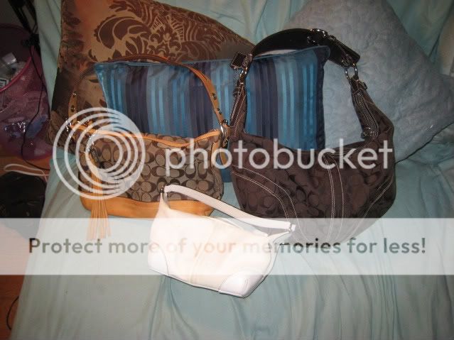 IMG_3594-1.jpg