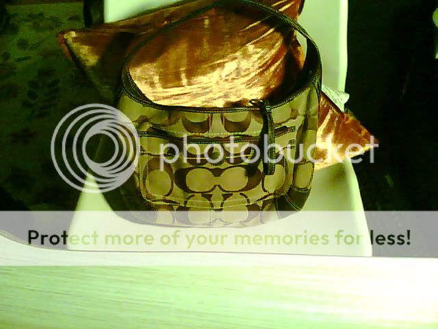 Snapshot_20111006_3.jpg
