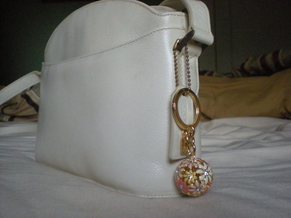 DSCN1528.jpg