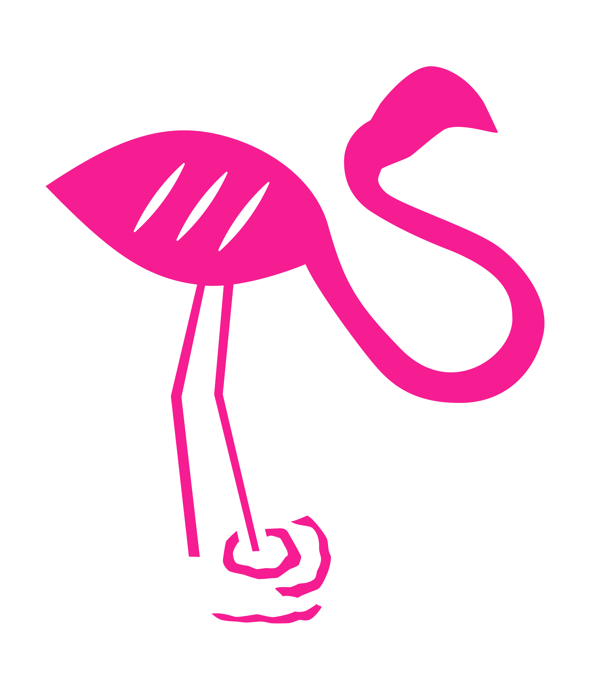 thewebster.com