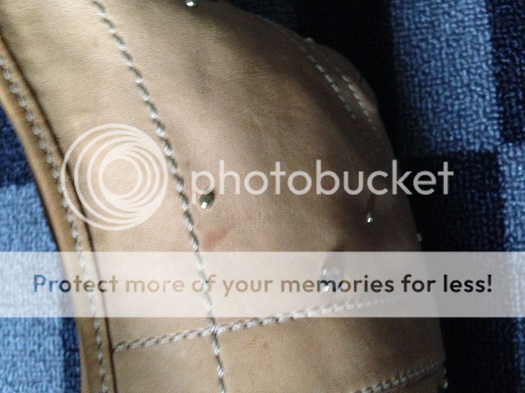 IMG_6904_zpsgzj0q3ox.jpg